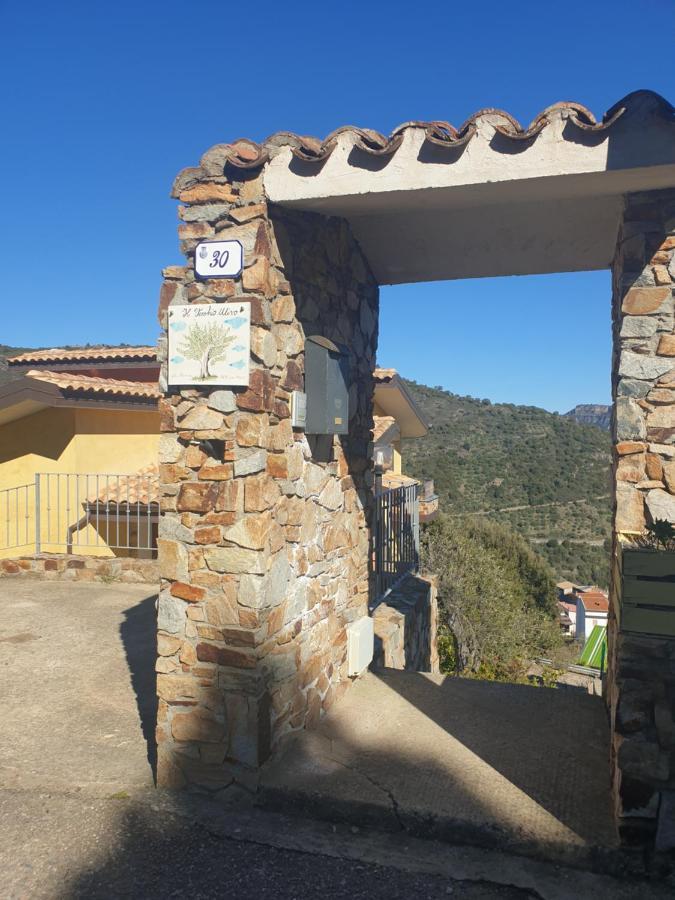 Il Vecchio Ulivo Sa Tanca Acomodação com café da manhã Ussàssai Exterior foto